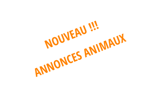 NOUVEAU !!!  ANNONCES ANIMAUX