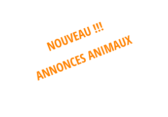 NOUVEAU !!!  ANNONCES ANIMAUX